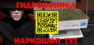 гидропоника Старая Купавна