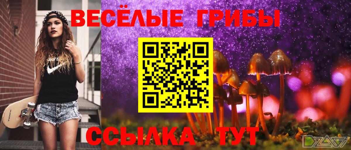 Псилоцибиновые грибы ЛСД Сосновый Бор