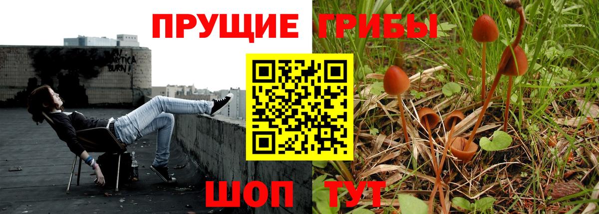 Псилоцибиновые грибы мицелий  Галлюциногенные грибы Psilocybine cubensis  Вход с VPN  наркотики  Сосновый Бор 